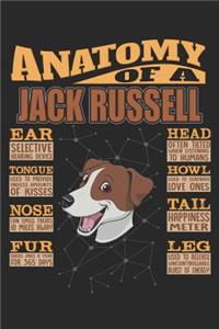 Anatomy Of A Jack Russel