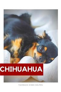 Chihuahu Tagebuch eines Welpen