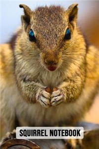 Squirrel Notebook