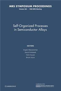 Self-Organized Processes in Semiconductor Alloys: Volume 583