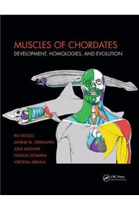 Muscles of Chordates