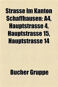 Strasse Im Kanton Schaffhausen