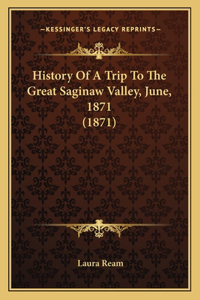 History Of A Trip To The Great Saginaw Valley, June, 1871 (1871)