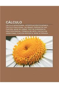 Calculo: Calculo Infinitesimal, Interpolacion Polinomica, Calculo Fraccional, Jacobiano, Paridad de Una Funcion, Serie de Leibn