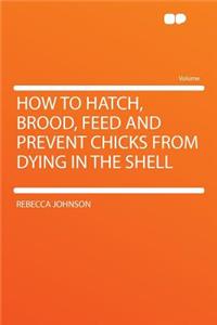 How to Hatch, Brood, Feed and Prevent Chicks from Dying in the Shell
