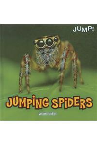 Jumping Spiders