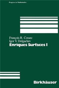 Enriques Surfaces I