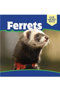 Ferrets