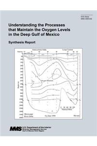 Understanding the Processes that Maintain the Oxygen Levels in the Deep Gulf of Mexico: Synthesis Report
