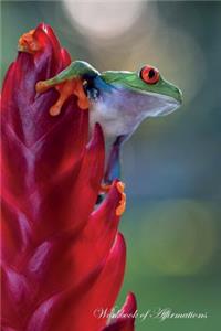 Red Eyed Tree Frog Workbook of Affirmations Red Eyed Tree Frog Workbook of Affirmations