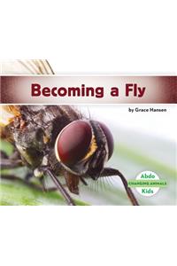 Becoming a Fly