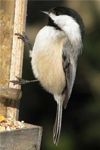 Massachusetts State Bird - Black-capped Chickadee Journal