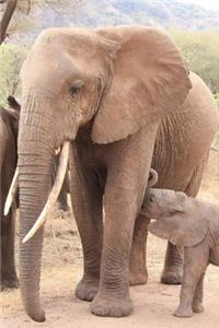 Mom and Baby Elephant Animal Journal