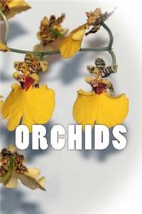 Orchids (Journal / Notebook)