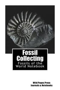 Fossil Collecting