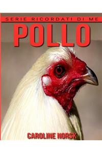 Pollo