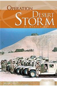 Operation Desert Storm