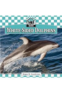 White-Sided Dolphins