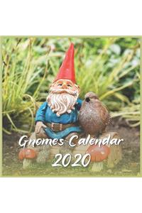 Gnomes Calendar 2020