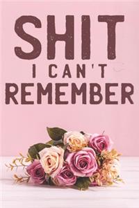 Shit I Can't Remember