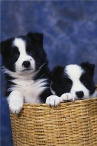 2020 Daily Planner Two Puppies Basket Dog Photo 388 Pages