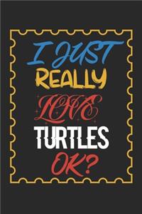 I Just Really love Turtles Ok?