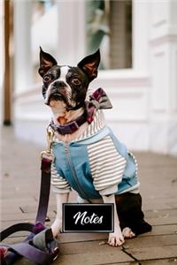 Boston Terrier Dog Pup Puppy Doggie Notebook Bullet Journal Diary Composition Book Notepad - Petty Seaman