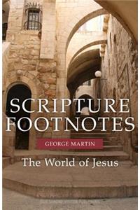 Scripture Footnotes