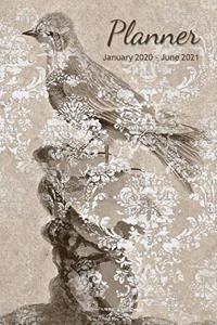 Planner - January 2020 - June 2021