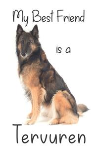 My best Friend is a Tervuren