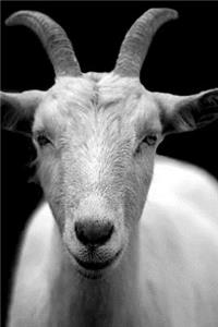 Goat Notebook