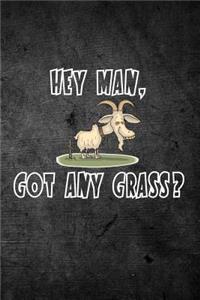 Hey Man, Got Any Grass?