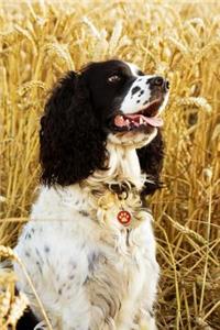 Springer Spaniel Dog Lined Journal: Canine Gift Notebook for Dog Lovers