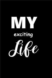 2019 Weekly Planner Funny Saying My Exciting Life 134 Pages
