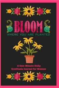 Bloom Where You Are Planted