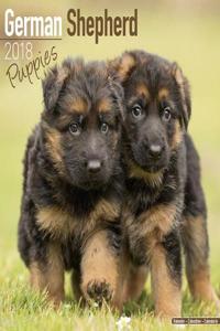 German Shepherd Puppies Calendar 2018