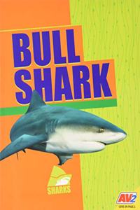 Bull Shark