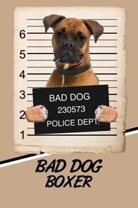Bad Dog Boxer