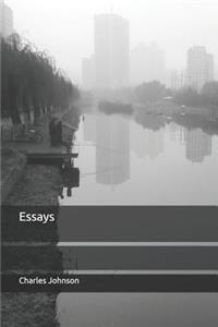Essays