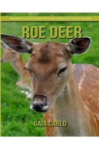 Roe Deer