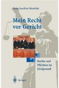 Mein Recht VOR Gericht: Rechte Und Pflichten Im Zivilprozeß