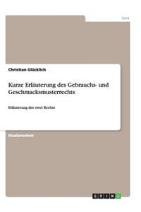 Kurze Erläuterung des Gebrauchs- und Geschmacksmusterrechts