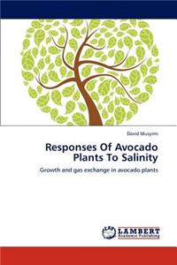 Responses Of Avocado Plants To Salinity