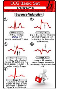 ECG Basic Set, Professional