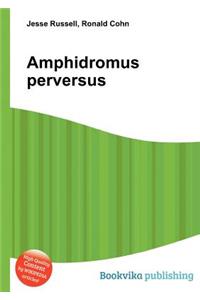 Amphidromus Perversus