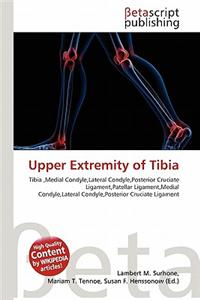 Upper Extremity of Tibia