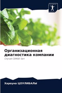 Организационная диагностика компании
