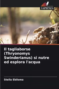 tagliaborse (Thryonomys Swinderianus) si nutre ed esplora l'acqua