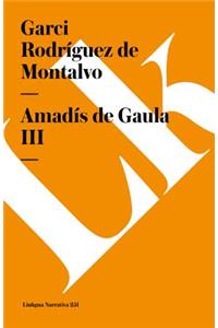 Amadis de Gaula III