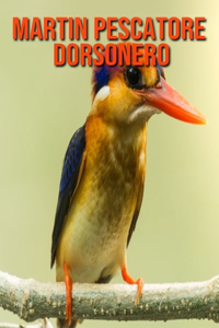 Martin pescatore dorsonero